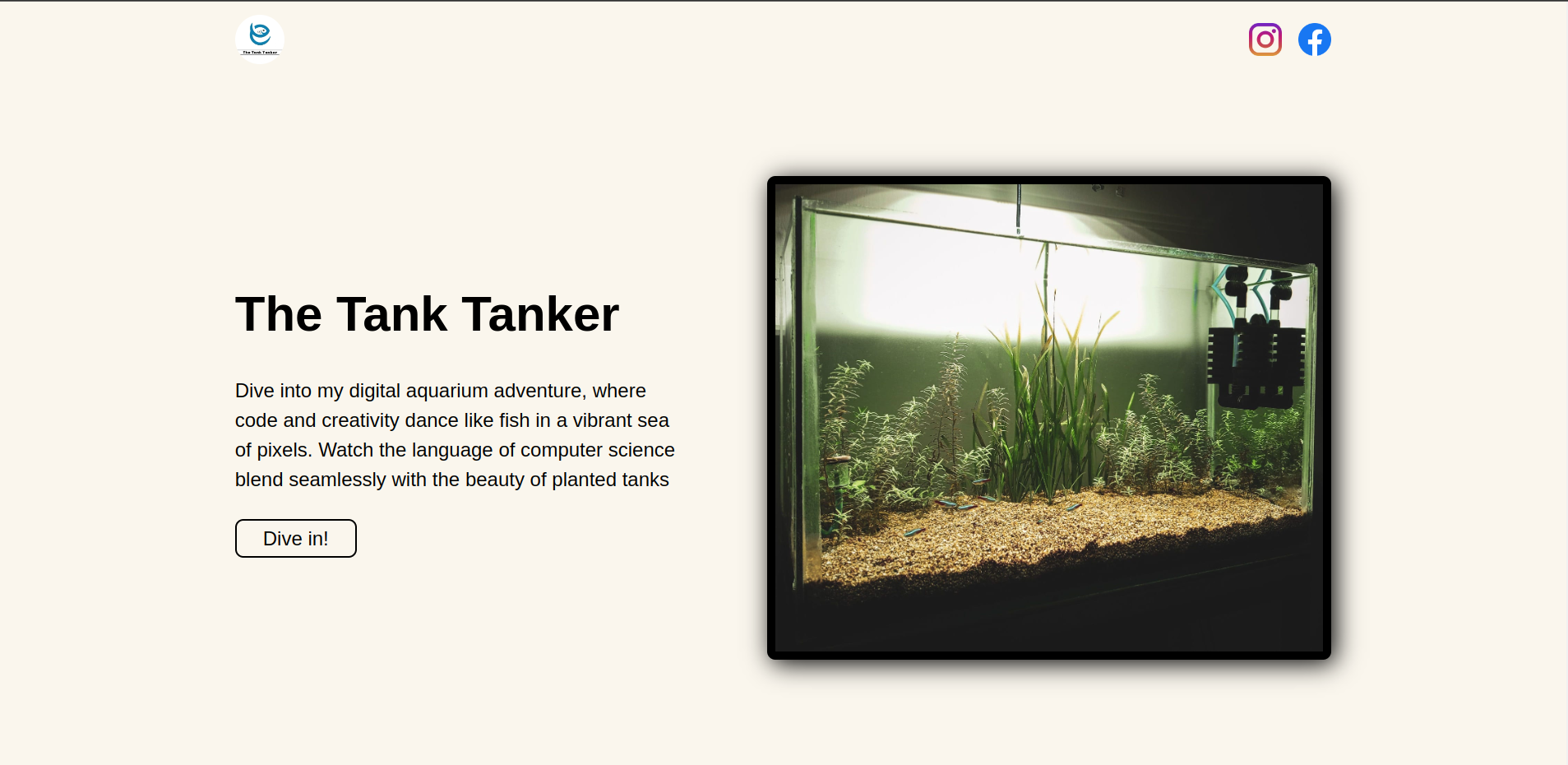 landing-page